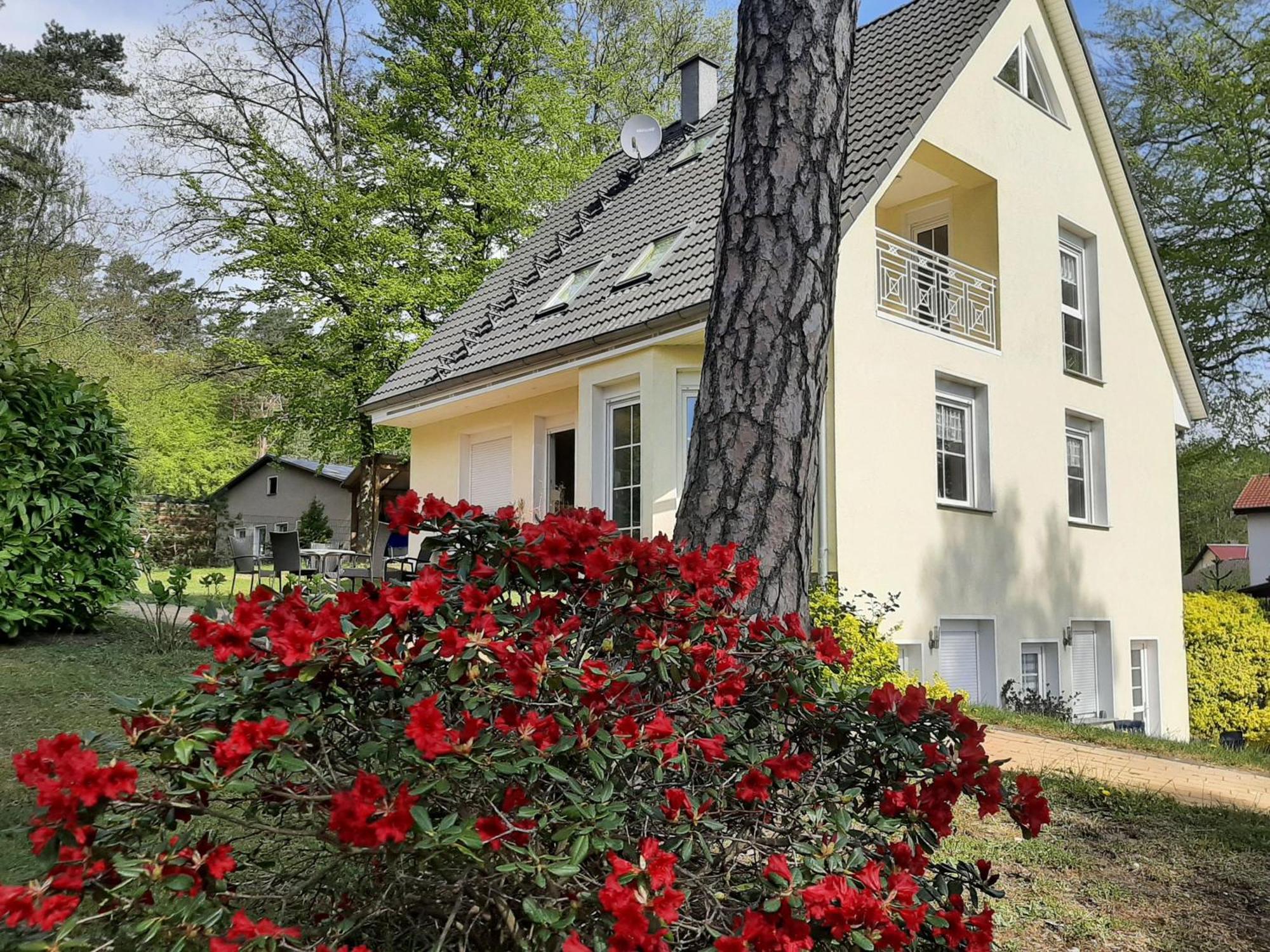 Bansin, Ferienwohnung Bansin Heringsdorf Dış mekan fotoğraf